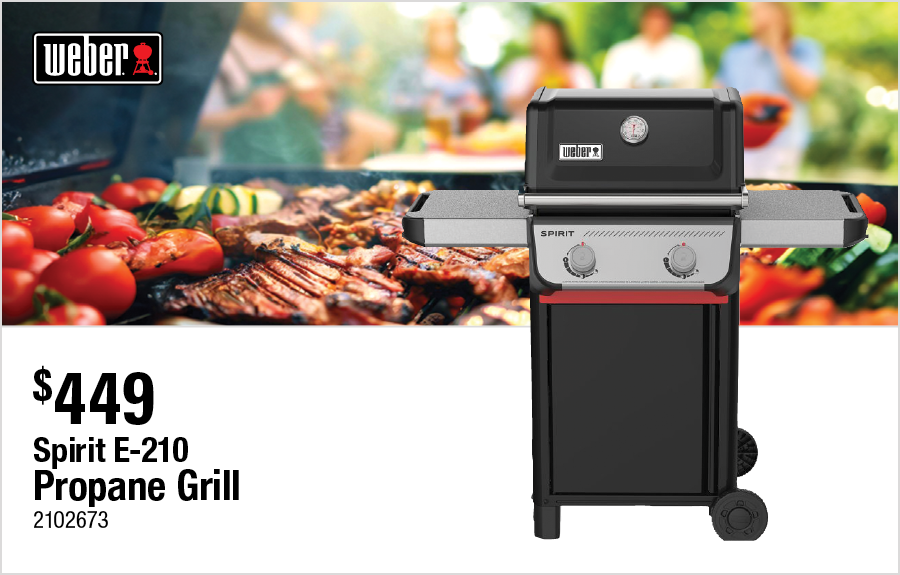 Spirit E-210 Propane Grill